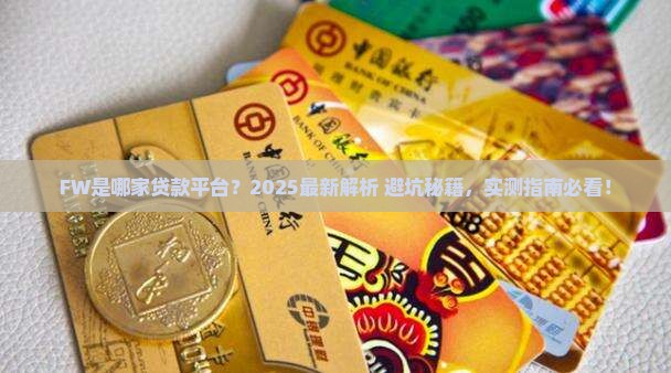 FW是哪家贷款平台