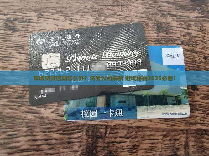 东城贷款逾期法务公司