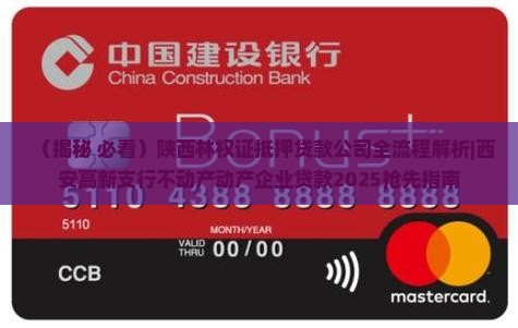 陕西林权证抵押贷款公司