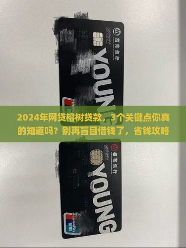 2024年网贷榕树贷款