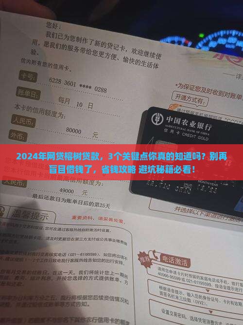 2024年网贷榕树贷款