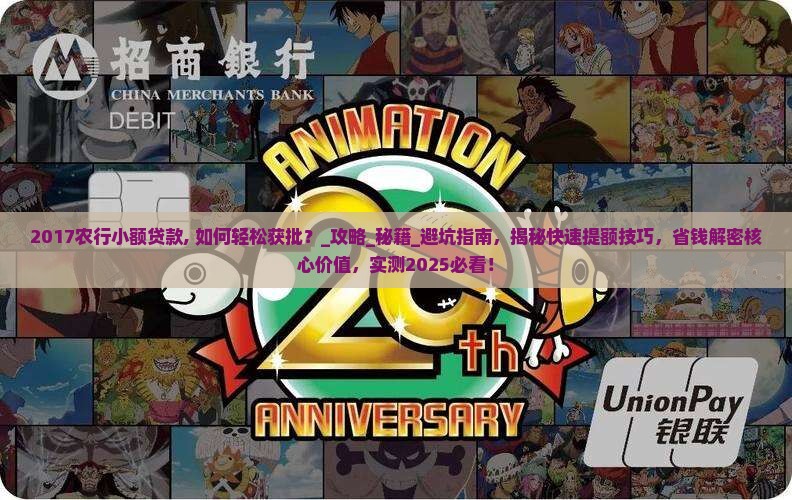 2017农行小额贷款