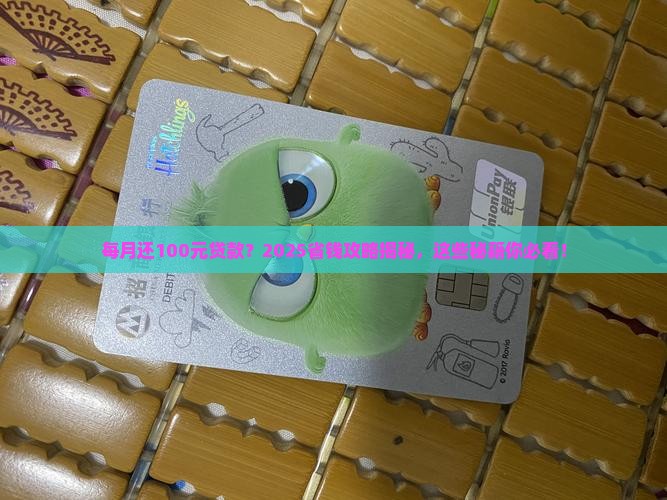 银行每月还100元贷款