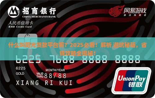 什么叫阳光贷款平台啊