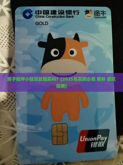 房子抵押小额贷款能买吗
