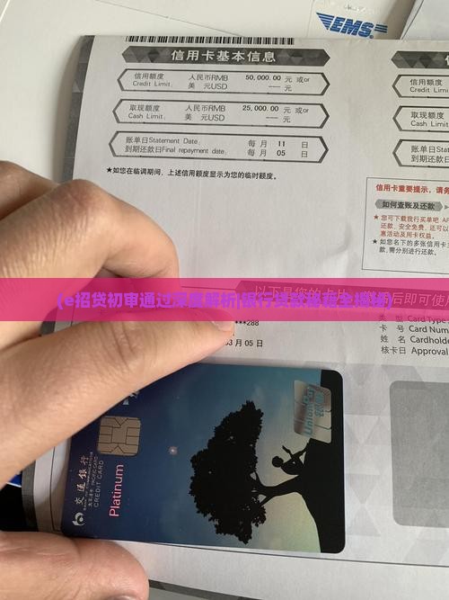 e招贷初审过了能贷款吗