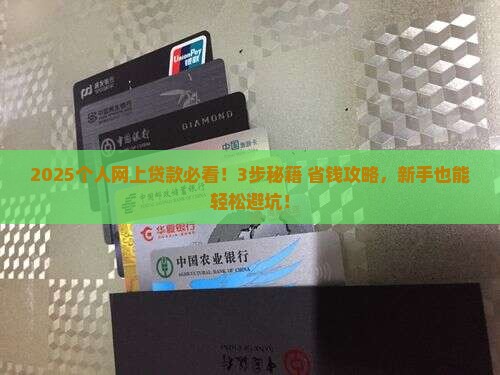 个人怎么去网上贷款