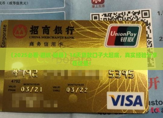 求分享14天的贷款口子