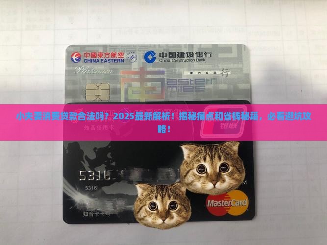 小夫妻消费贷款合法吗