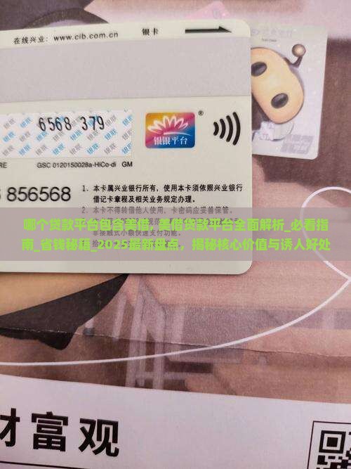 哪个贷款平台包含美借