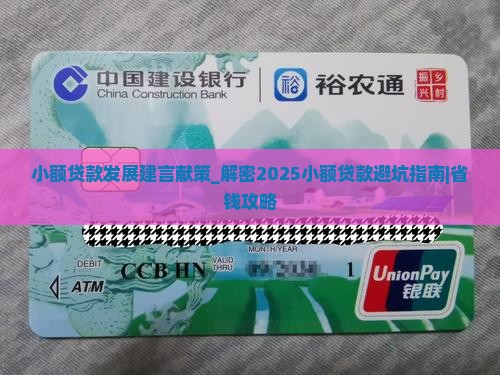 小额贷款发展建言献策 小额贷款发展建言献策