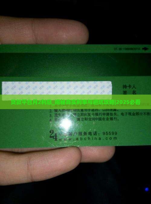 贷款平台月2利息