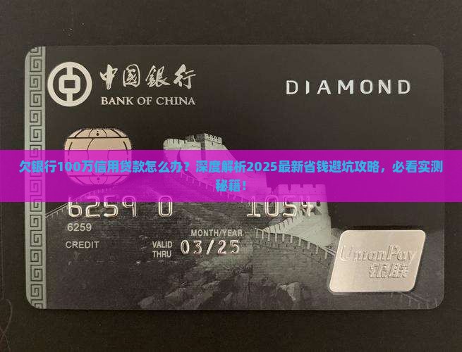 欠银行100万信用贷款