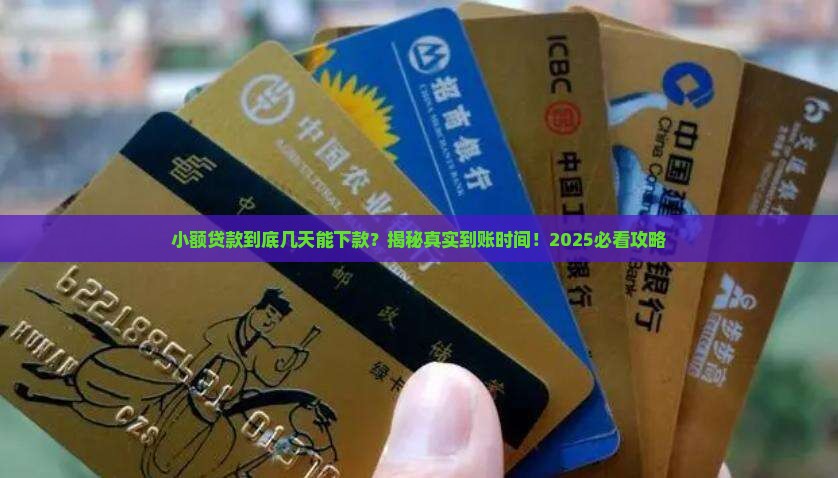 小额贷款几天能下款到账