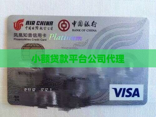 p2p小额贷款代理