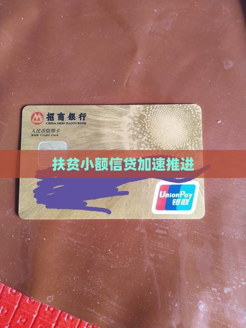 加快扶贫小额贷款