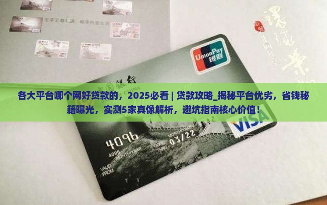 各大平台哪个网好贷款的