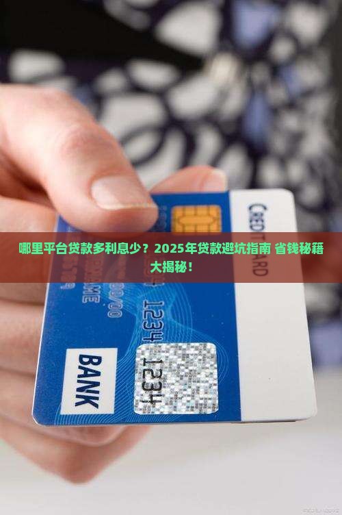 哪里平台贷款多利息少