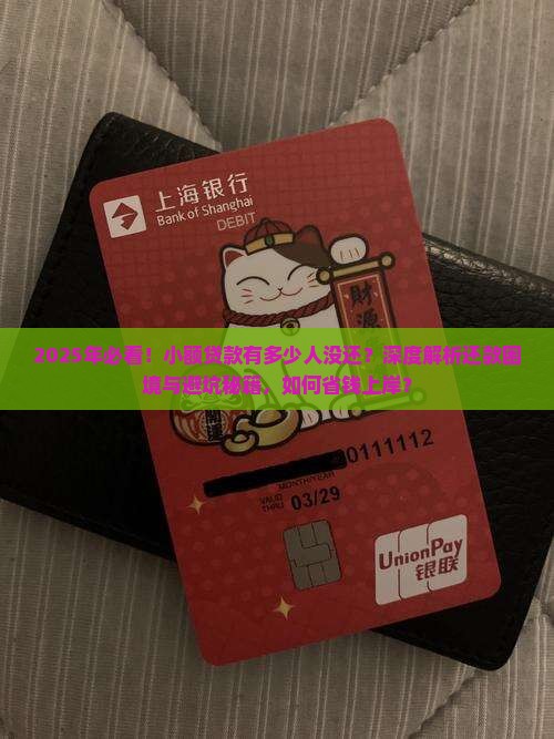 小额贷款有多少人没还