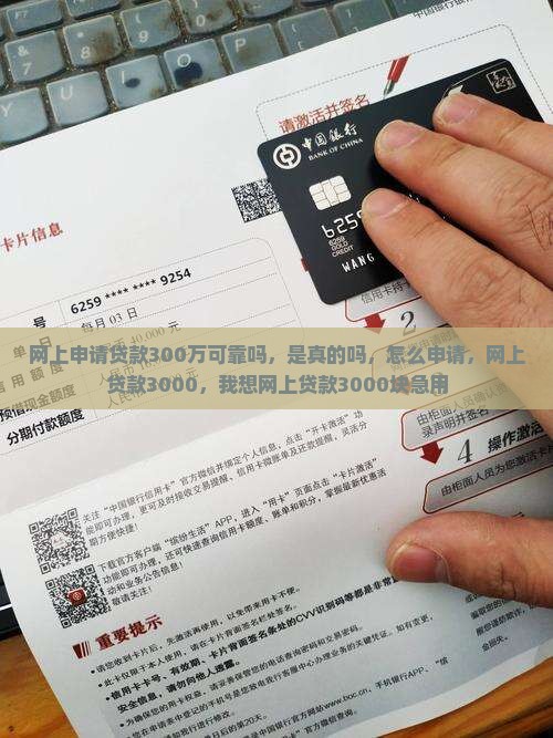 网上申请贷款300万