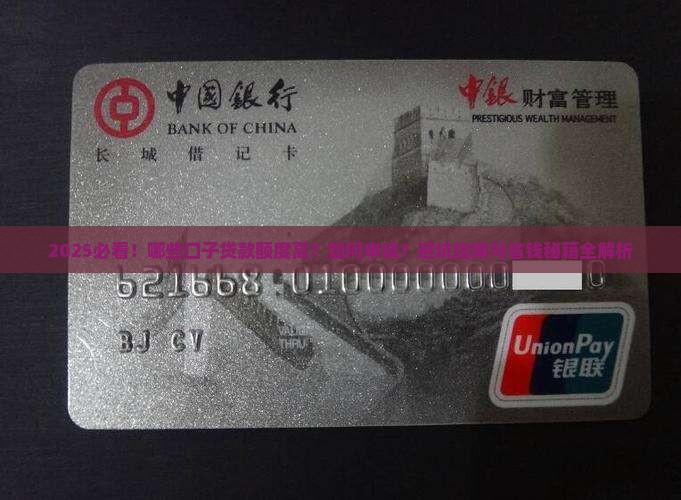 哪些口子贷款额度高