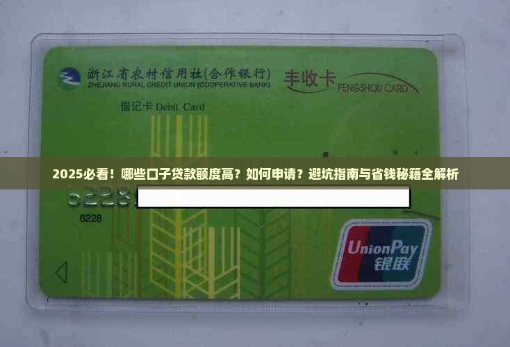 哪些口子贷款额度高