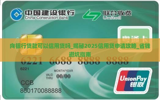 向银行贷款可以信用贷吗