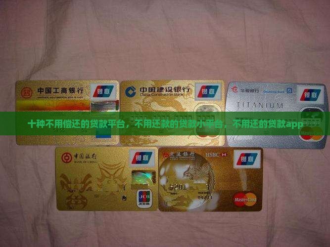 十种不用偿还的贷款平台