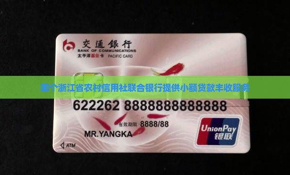 哪种银行卡有小额贷款
