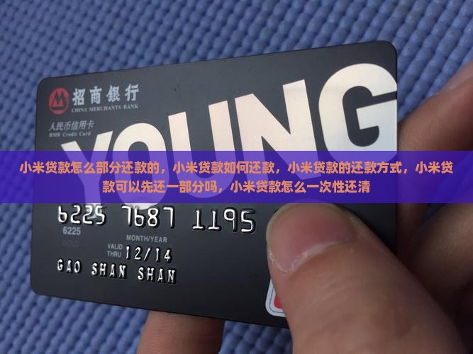 小米贷款怎么部分还款的