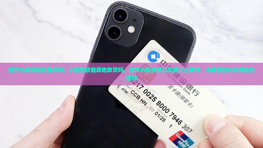 地方小额贷款还能开吗 地方小额贷款还能开吗