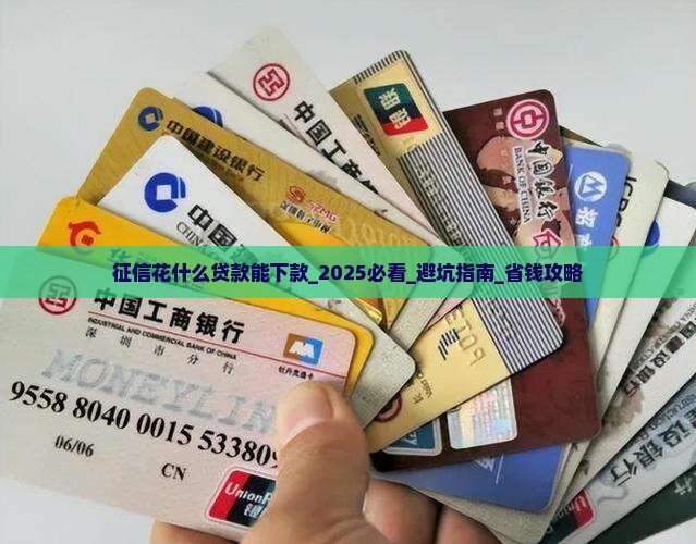 征信花什么贷款能下款