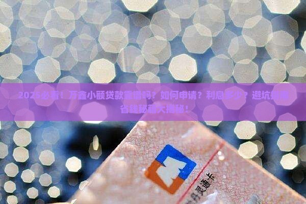 万鑫小额贷款怎么样