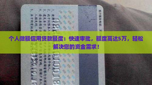 个人微额信用贷款额度