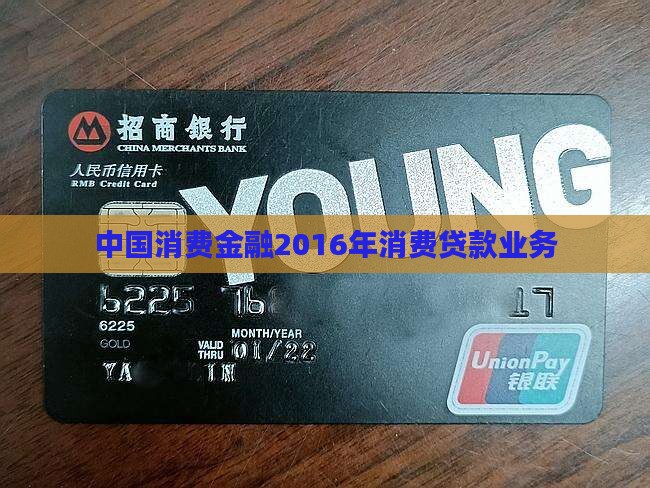 2016消费贷款业务