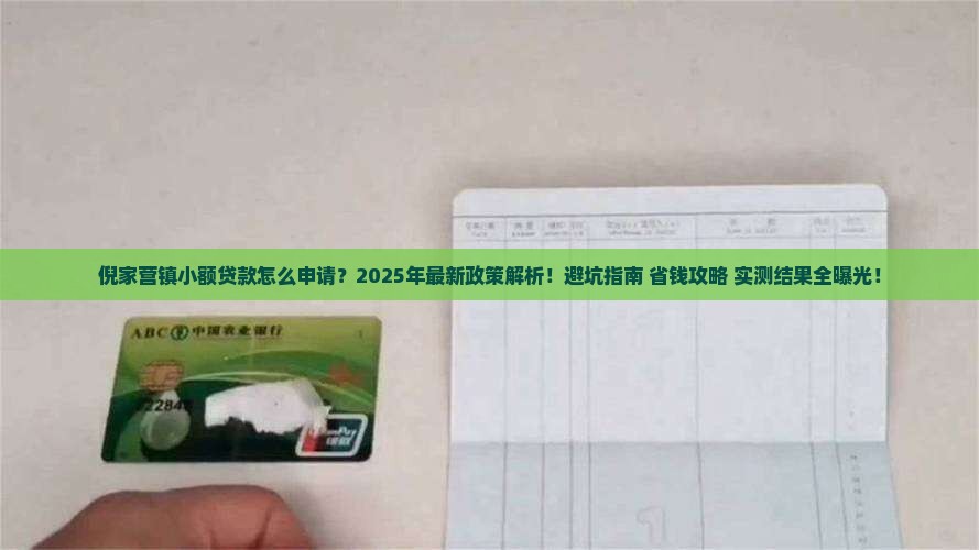 倪家营镇小额贷款