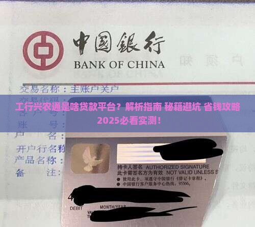 工行兴农通是啥贷款平台