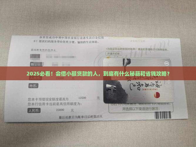 会借小额贷款的人叫什么