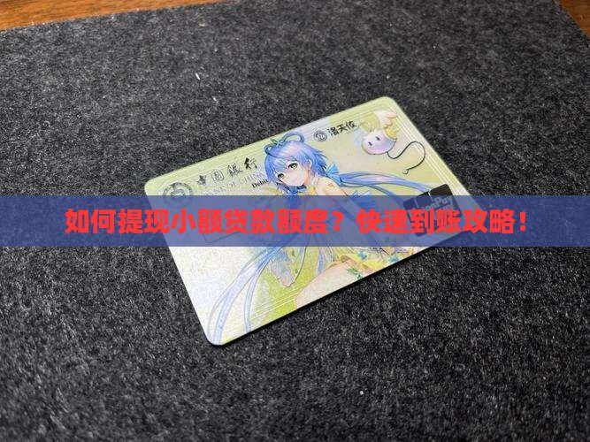 如何提现小额贷款额度