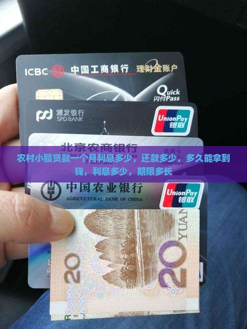 农村小额贷款一个月