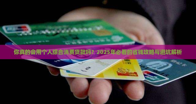 个人综合消费贷款例子