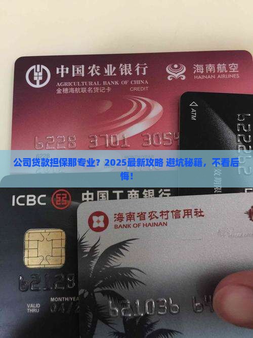 公司贷款担保那专业