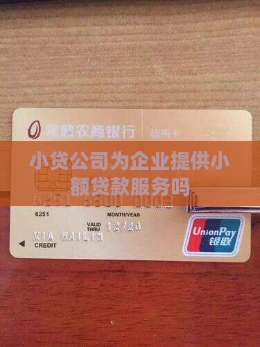 小贷公司做企业贷款吗