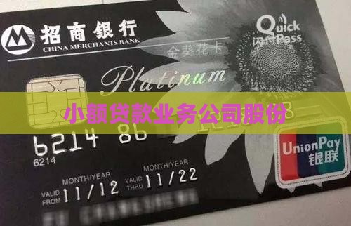 二级贷款业务公司
