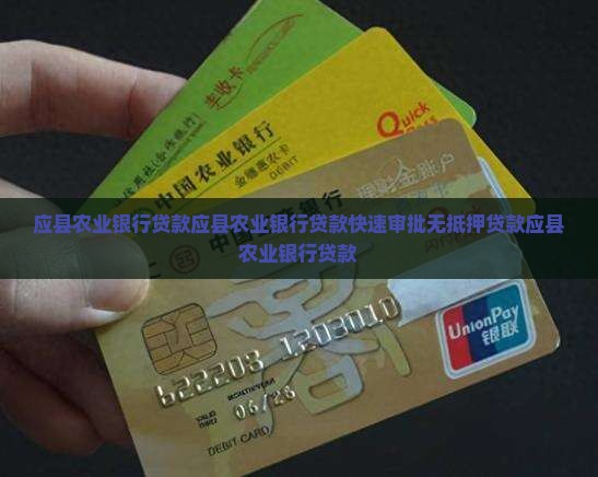 应县农业银行贷款