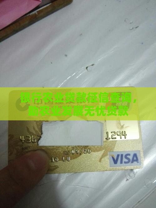 银行农业贷款征信查询，助农业发展无忧贷款
