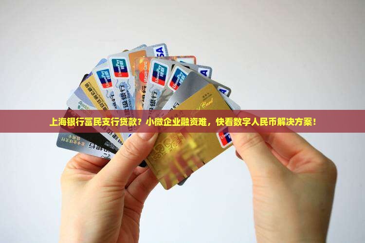 上海银行富民支行贷款？小微企业融资难，快看数字人民币解决方案！