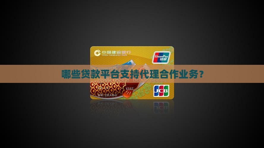 哪些贷款平台支持代理合作业务？