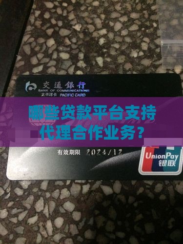 哪些贷款平台支持代理合作业务？