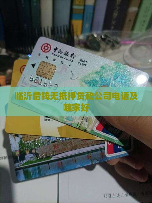 临沂借钱无抵押贷款公司电话及哪家好